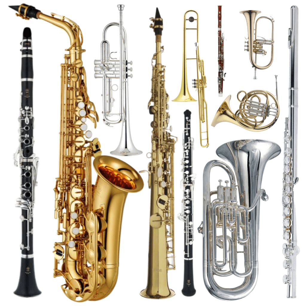Tienda Online De Instrumentos Musicales